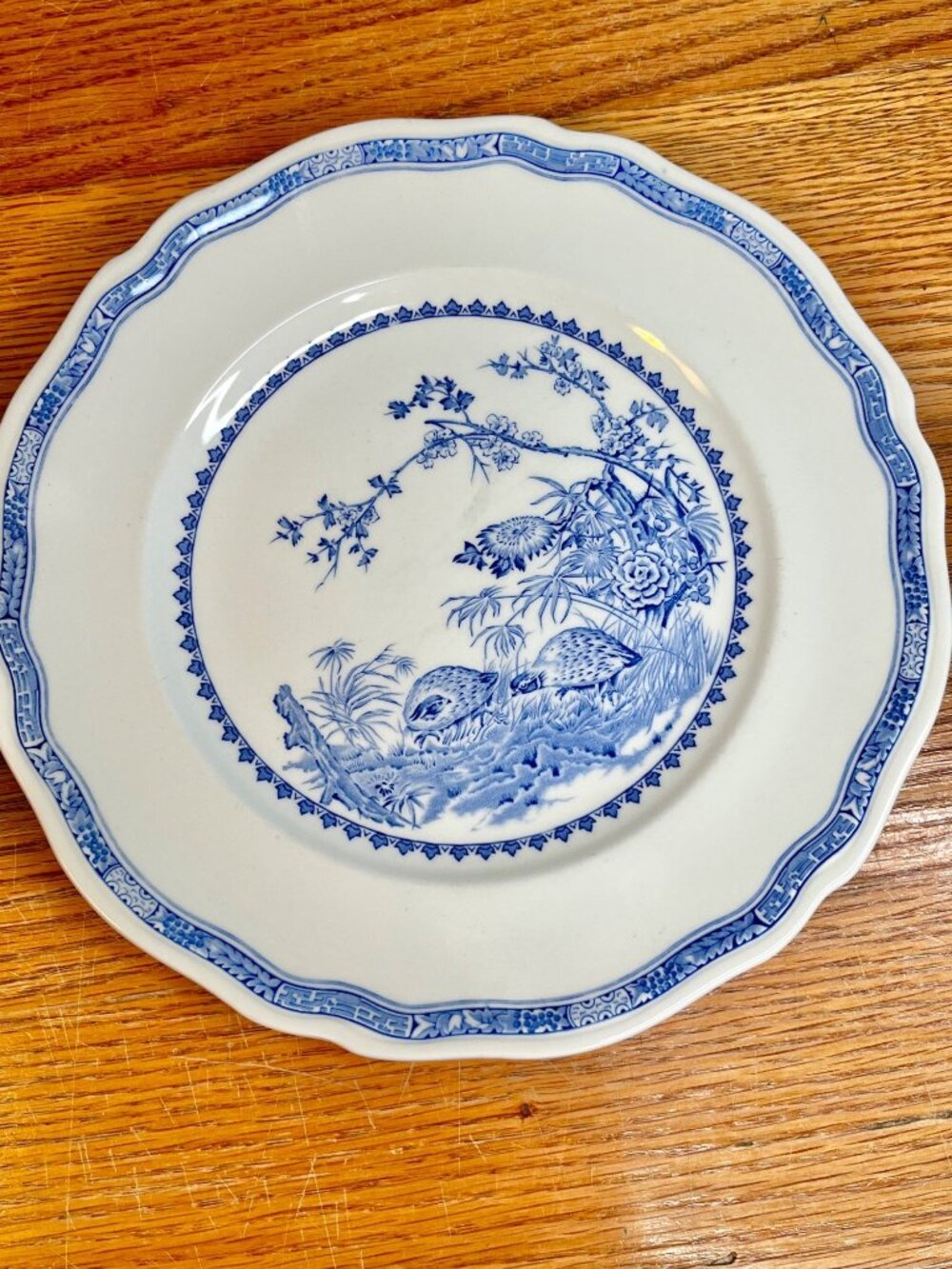 Set of 2 Antique FURNIVALS 1913 Blue Quail 10 1/4" Dinner Plates Round Backstamp - Picture 16 of 16